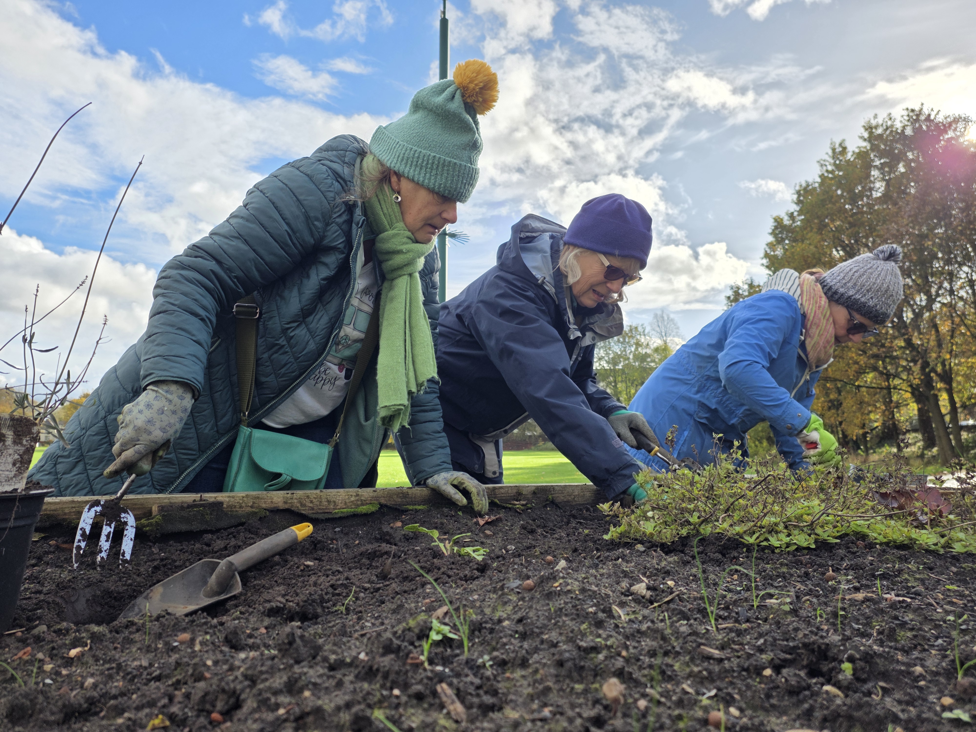 group of people leaning over raised flower bed