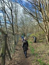 Photo of people walking through woodland lined with trees