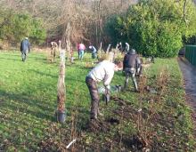 Dedicated RammyMen volunteers support with the planting of the new natural flood defences