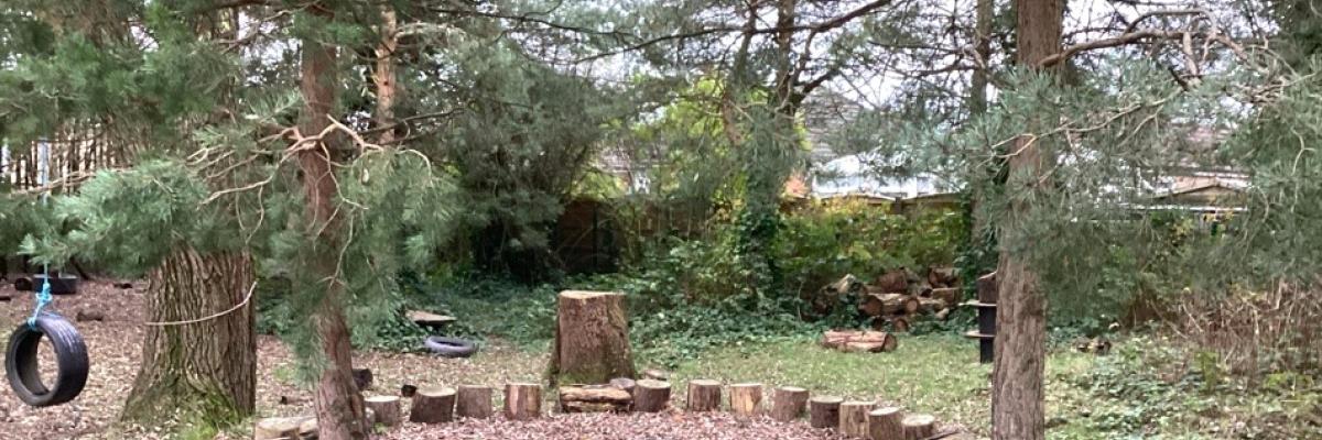 Photograph of Woodland trees with wooden seating sculptures in a circle