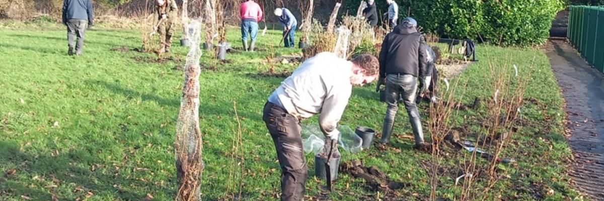 Dedicated RammyMen volunteers support with the planting of the new natural flood defences