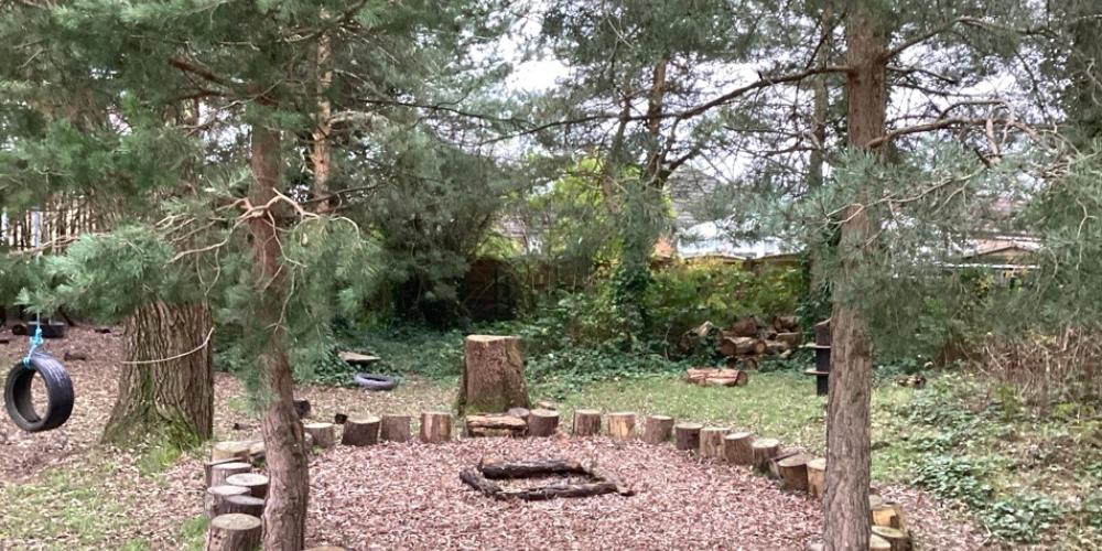 Photograph of Woodland trees with wooden seating sculptures in a circle
