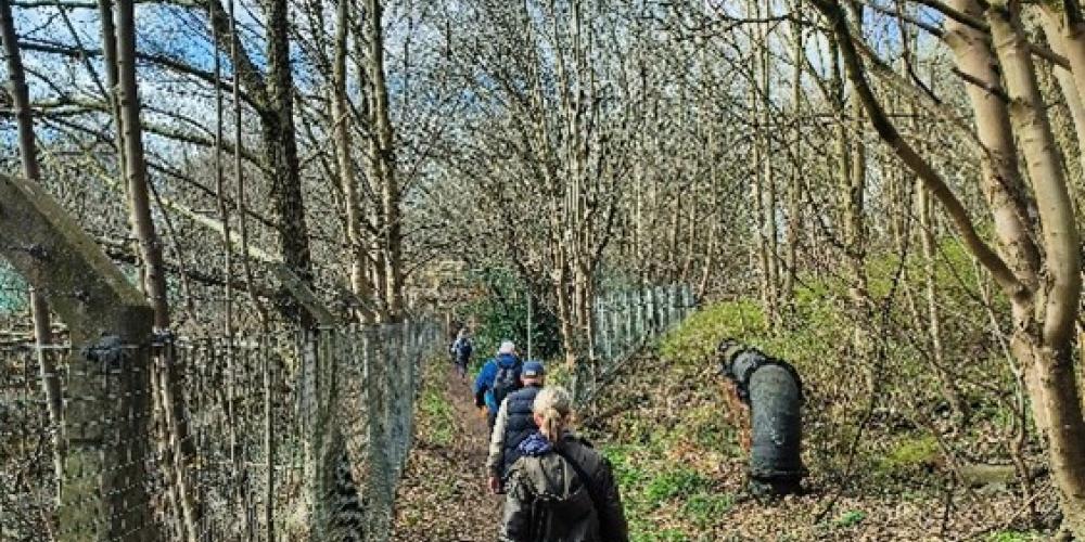 Photo of people walking through woodland lined with trees