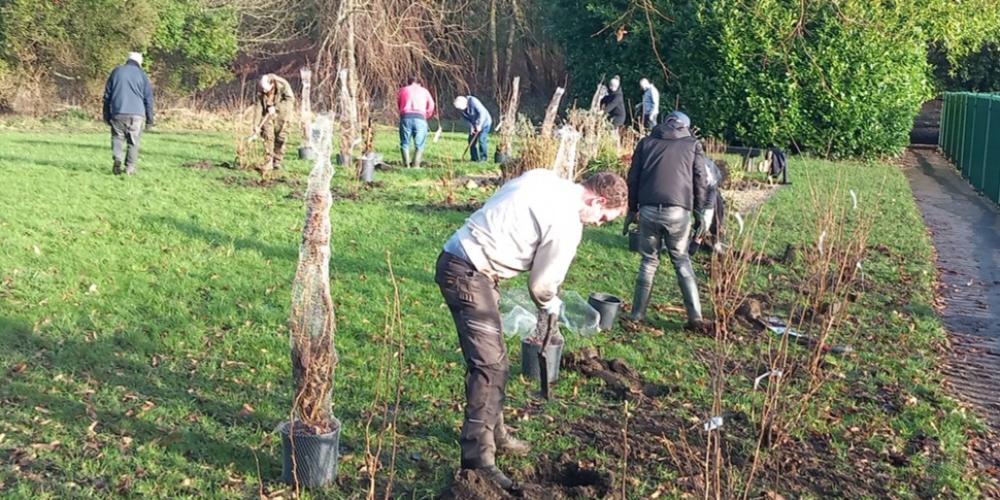 Dedicated RammyMen volunteers support with the planting of the new natural flood defences